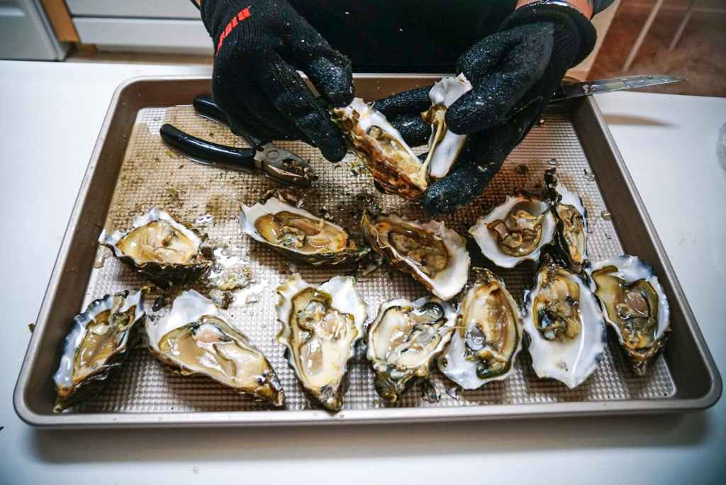 Wanneer kan ik oesters eten? Alles over het&nbsp;oesterseizoen